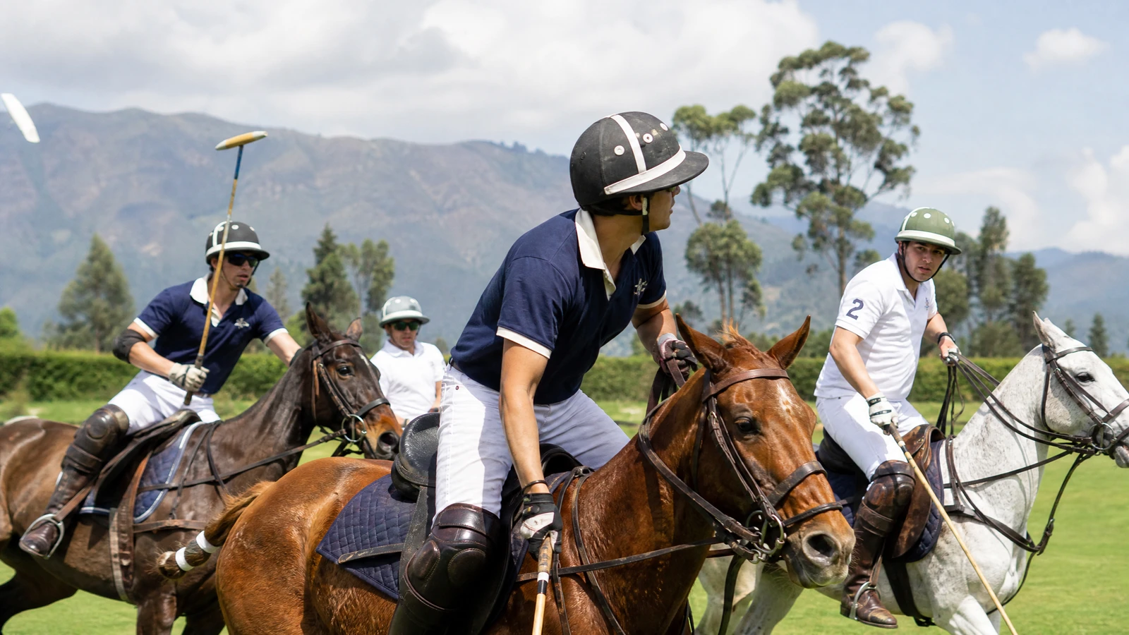 Polo con Orgullo: de nunca haber montado caballo a jugar Polo sin salir de Bogotá
